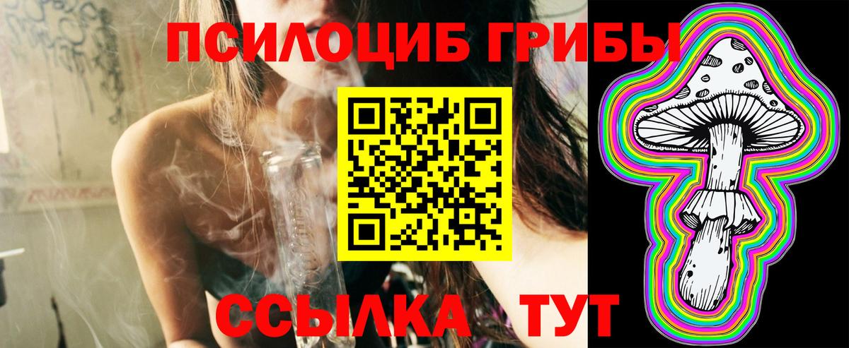 Галлюциногенные грибы Cubensis  Вход с VPN  Арзамас 