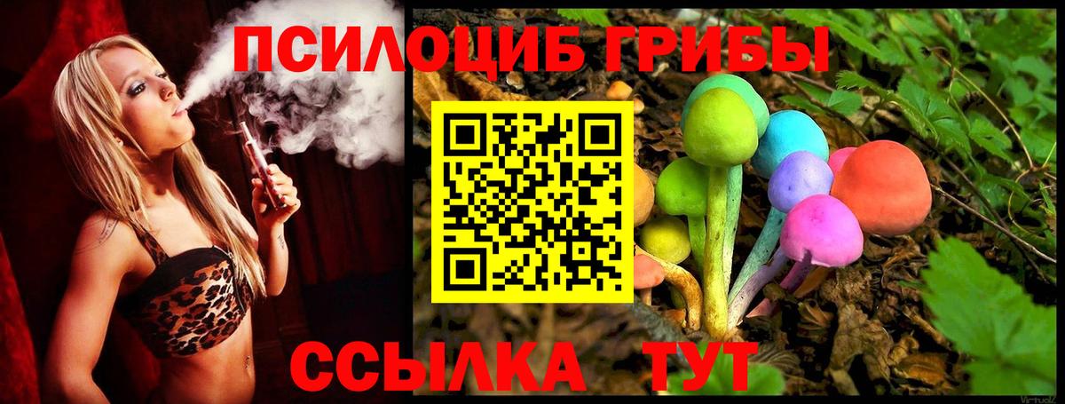 Псилоцибиновые грибы Psilocybine cubensis Арзамас