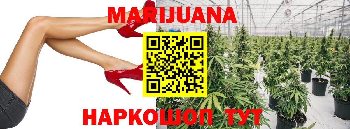 Бошки Шишки конопля Арзамас